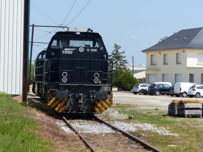 5001650.jpg