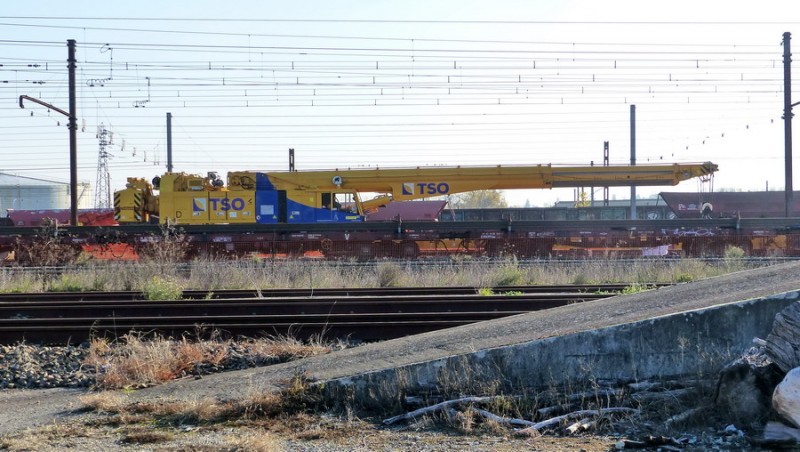 TSO (1).jpg (196.31 Kio) Vu 10275 fois TSO (1).jpg