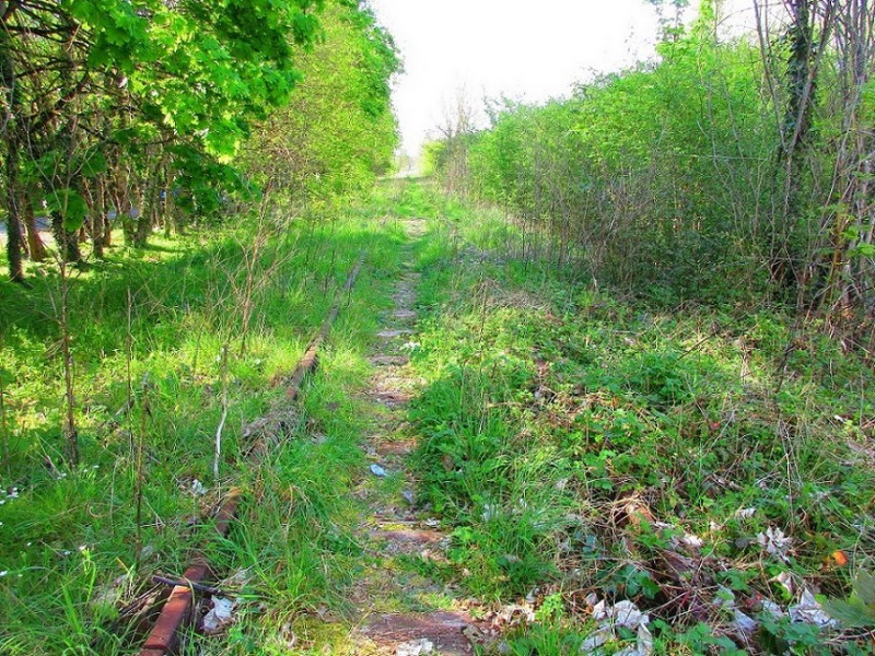 (104) Aire repos RD 943 Bridoré (Indre et Loire) direction Loches.jpg (395.19 Kio) Vu 11503 fois (104) Aire repos RD 943 Bridoré (Indre et Loire) direction Loches.jpg