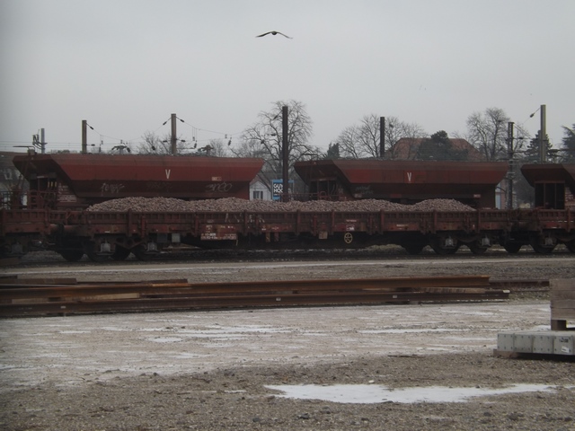 DSCF1276 (Copier).JPG