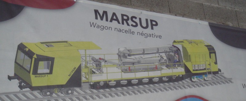 Marsup1F.jpg