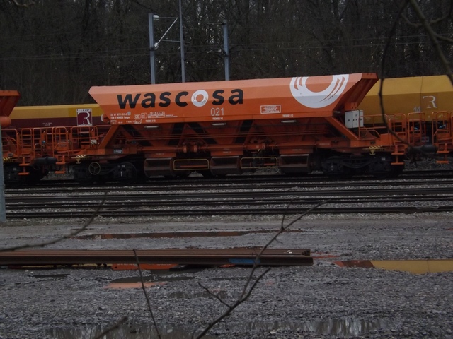 DSCF5540 (Copier).JPG