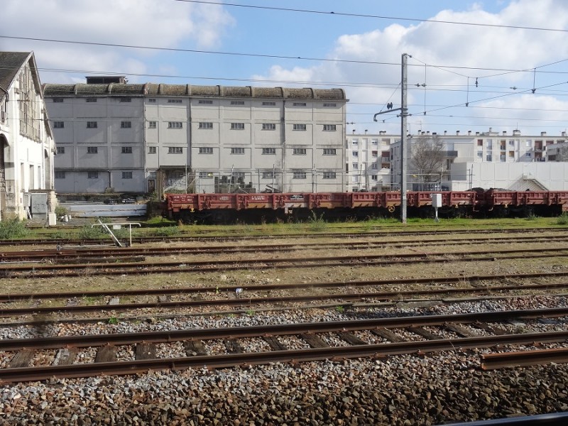 DSC02971R.jpg