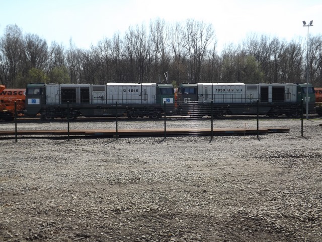 DSCF6387 (Copier).JPG