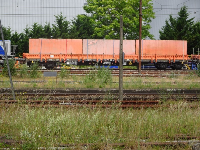DSC04238R.jpg