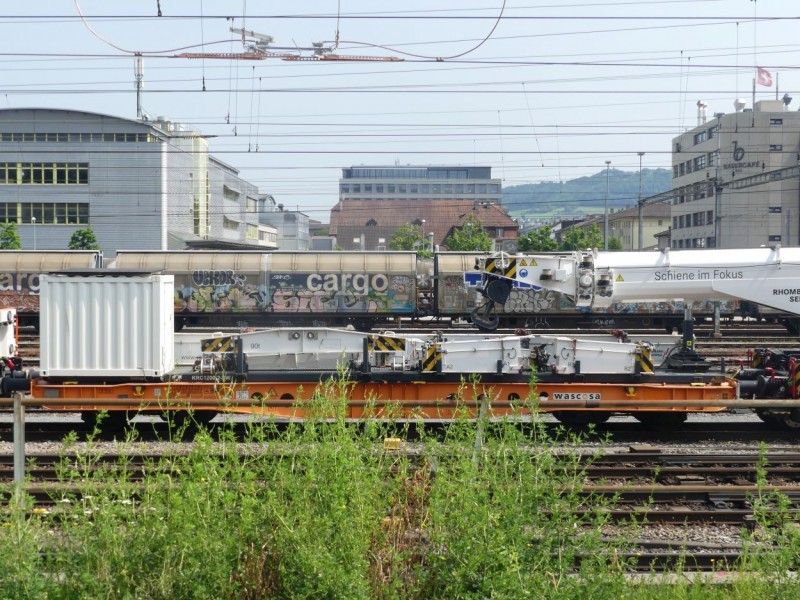 P1020894.JPG