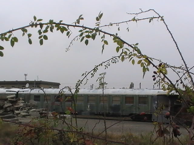 PIC_0559.jpg