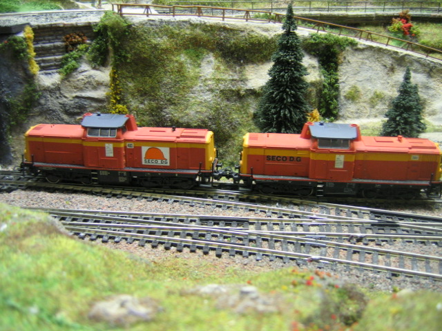 img4034oy5.jpg