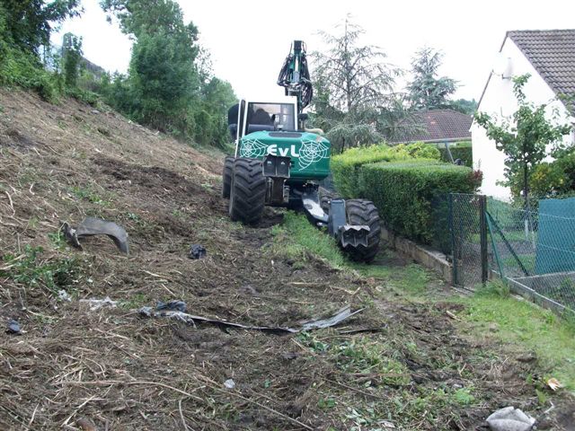 Photo 1 006.jpg