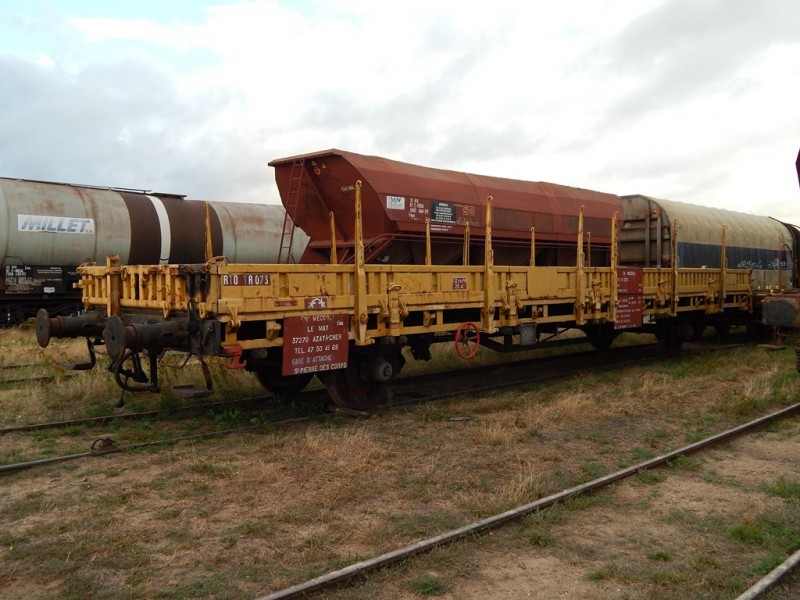 K50 - RT0 TR 073 - MECCOLI (2) (Copier).JPG
