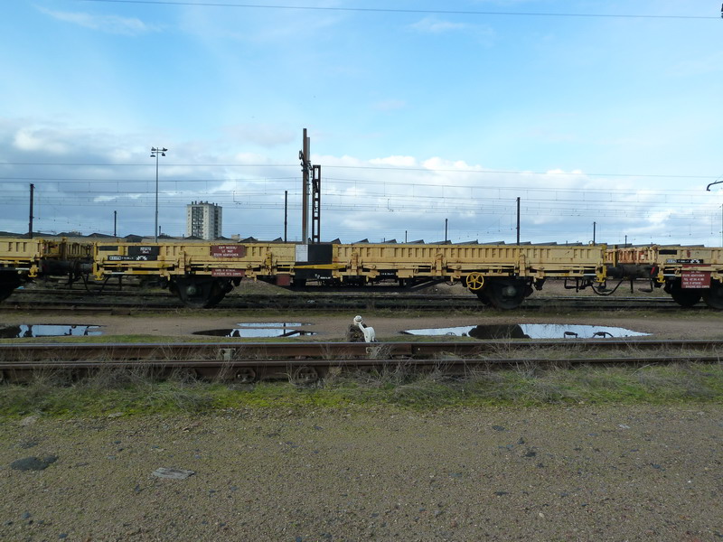 99 87 9 383 673-0 (2014-02-02 St Pierre des Corps) Wagon plat type K50 meccoli (1).jpg