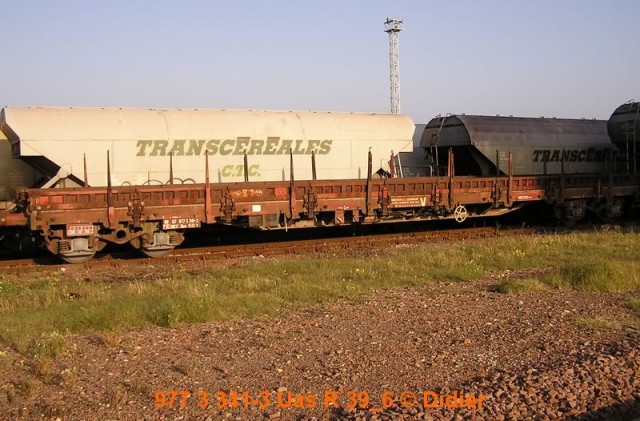 9773341-3.jpg