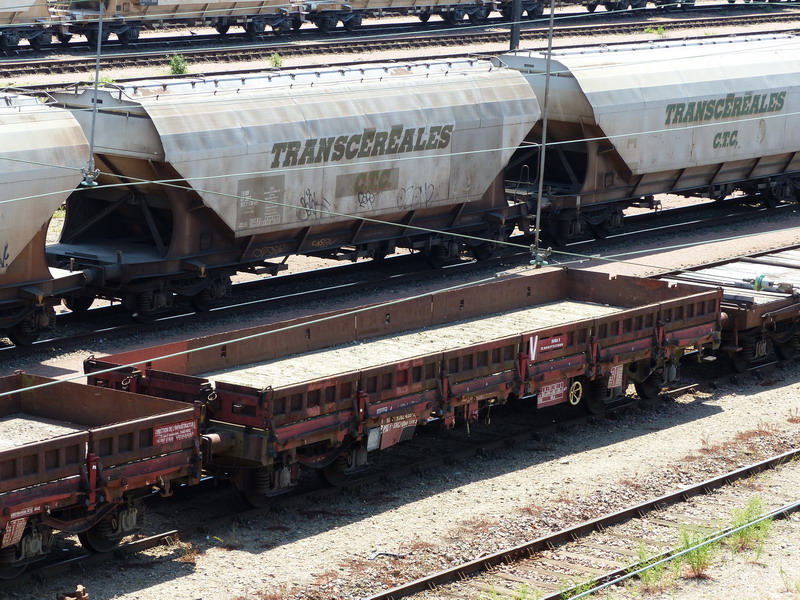 80 87 978 2 459-2 Uas S39 2 F SNCF-PSL (2014-05-19 St Pierre des Cops) (1).jpg