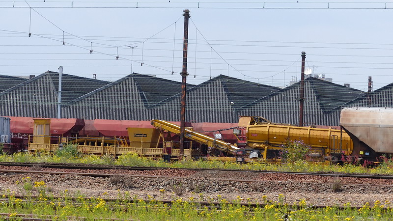 99 87 9 383 877-7 Meccoli (2014-06-18 SPC) + VAD 85 PSE N°281 (1).jpg