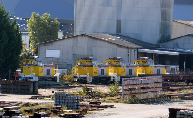 Y.9009 (2014-10-18 Crem de SPDC) (1).jpg