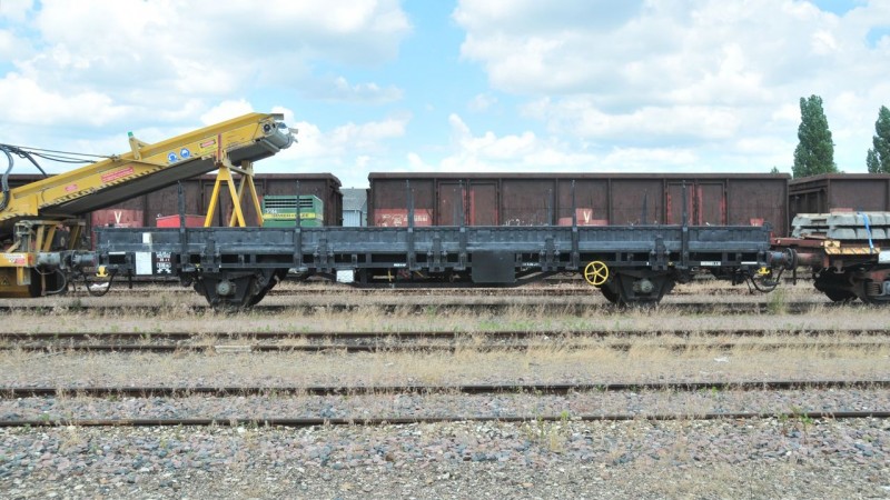 MCS_2101.jpg