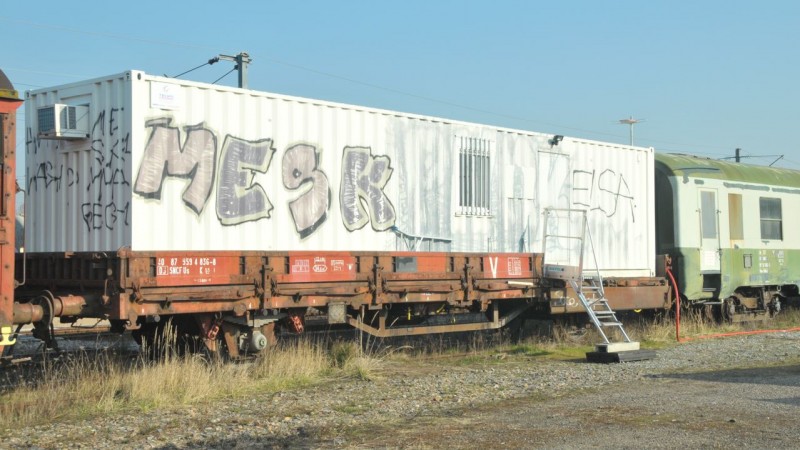MCS_3555.jpg