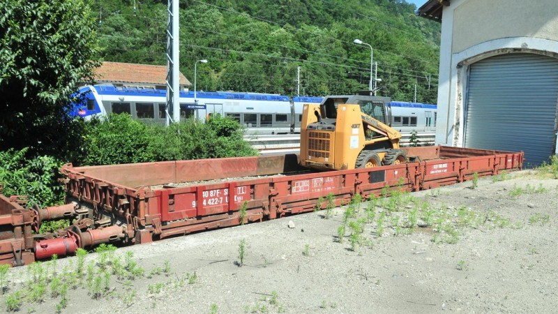 MCS_7746.jpg