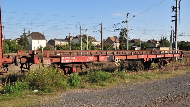 MCS_7950.jpg