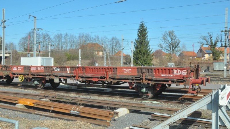 MCS_2816.jpg