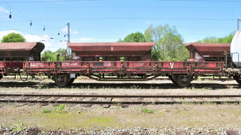 MCS_0875.jpg