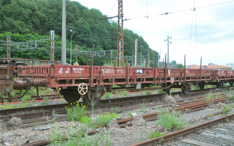 MCS_7129.jpg