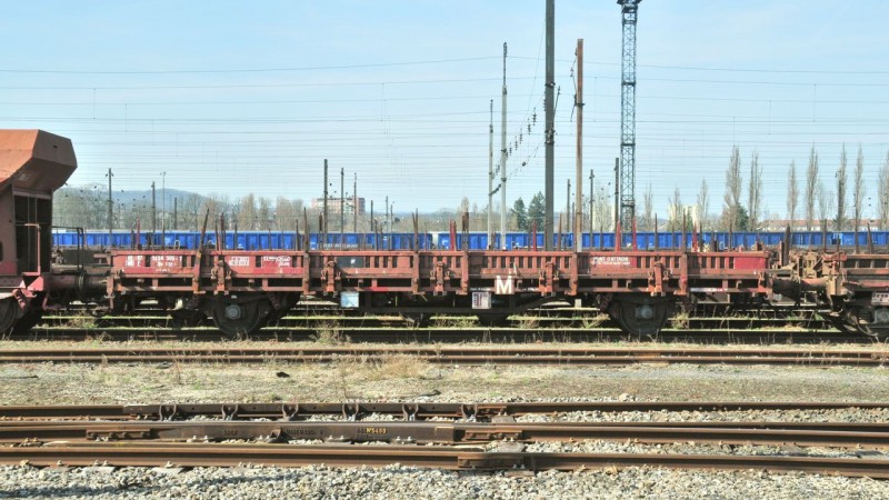 MCS_5975.jpg