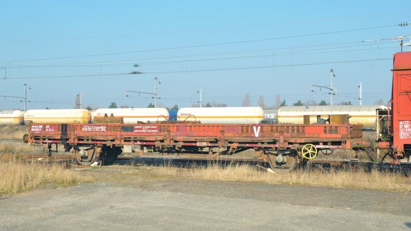 MCS_3553.jpg