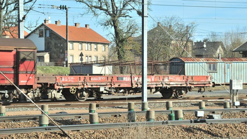 MCS_9736.jpg