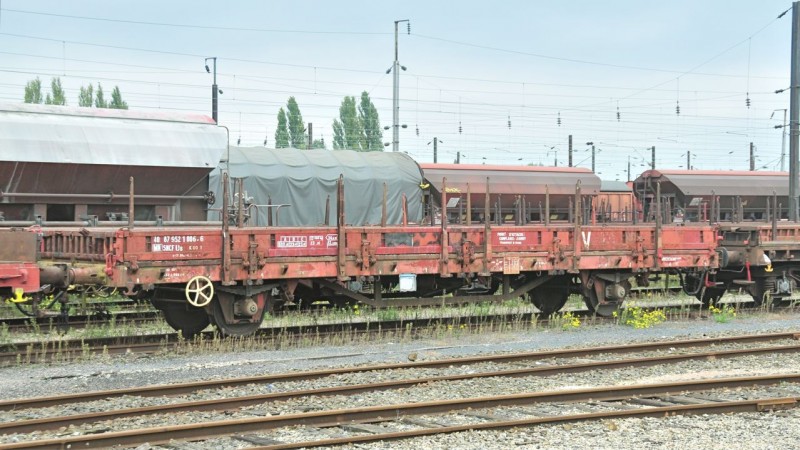 MCS_1702.jpg