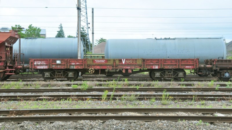 MCS_2259.jpg