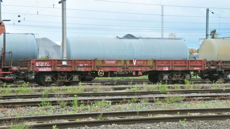 MCS_1837.jpg