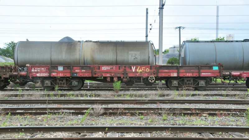 MCS_2261.jpg