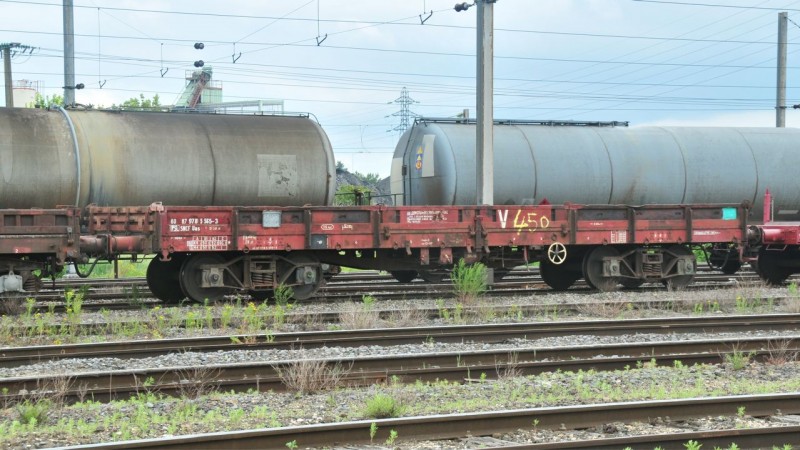 MCS_1835.jpg