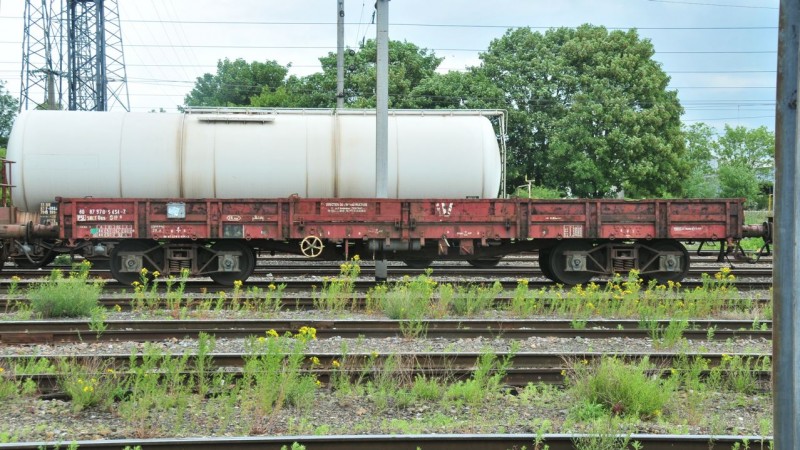 MCS_1827.jpg