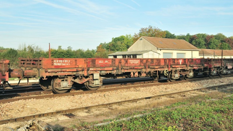 MCS_6217.jpg