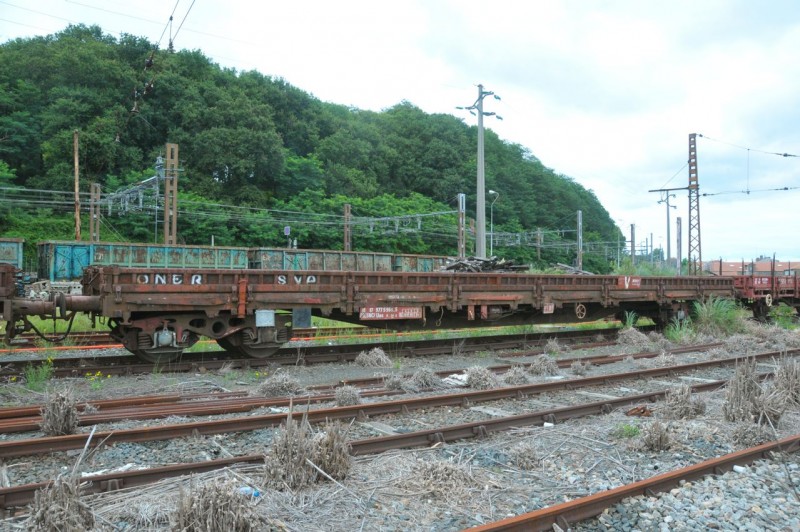MCS_7128.jpg