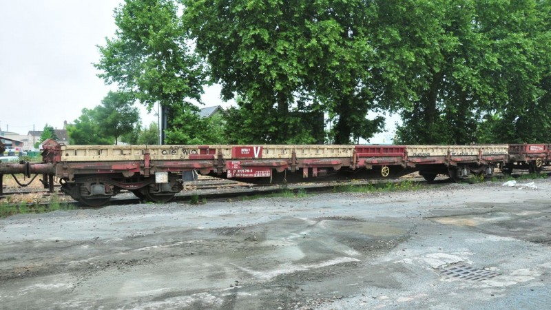 MCS_1749.jpg