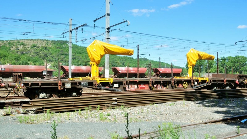 MCS_0699.jpg