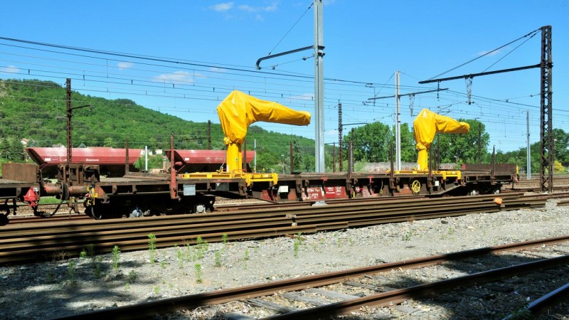 MCS_0698.jpg