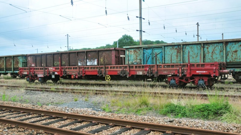 MCS_1776.jpg