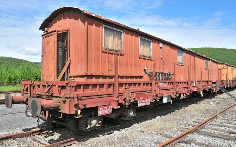 MCS_0921.jpg