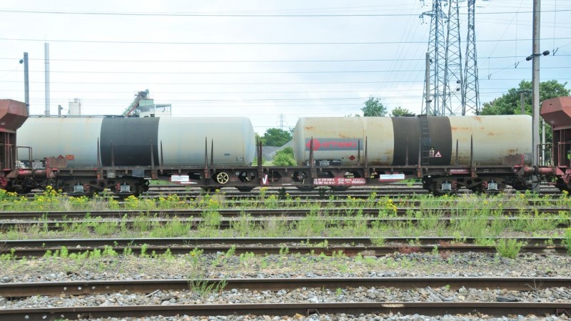 MCS_1829.jpg