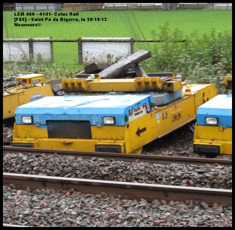 LEM460_4141_CR.jpg
