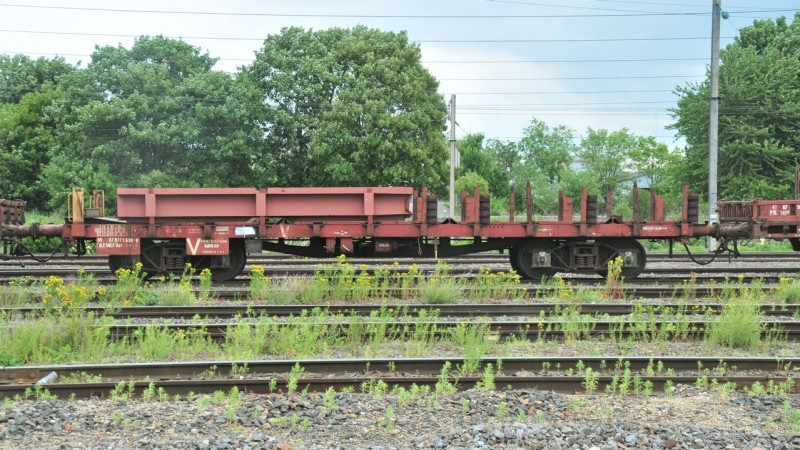 MCS_1826.jpg