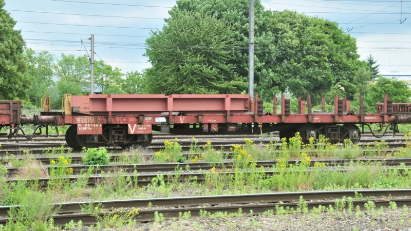 MCS_1825.jpg