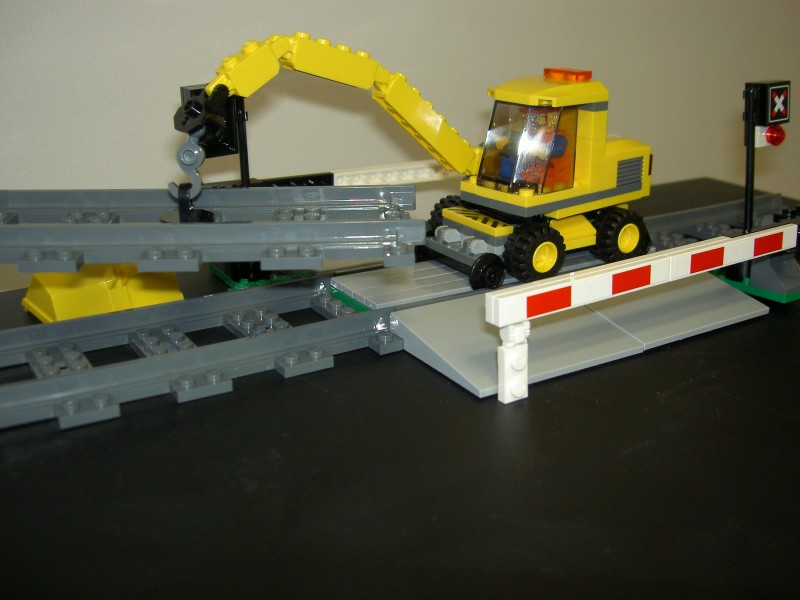 pelle rr 1.JPG