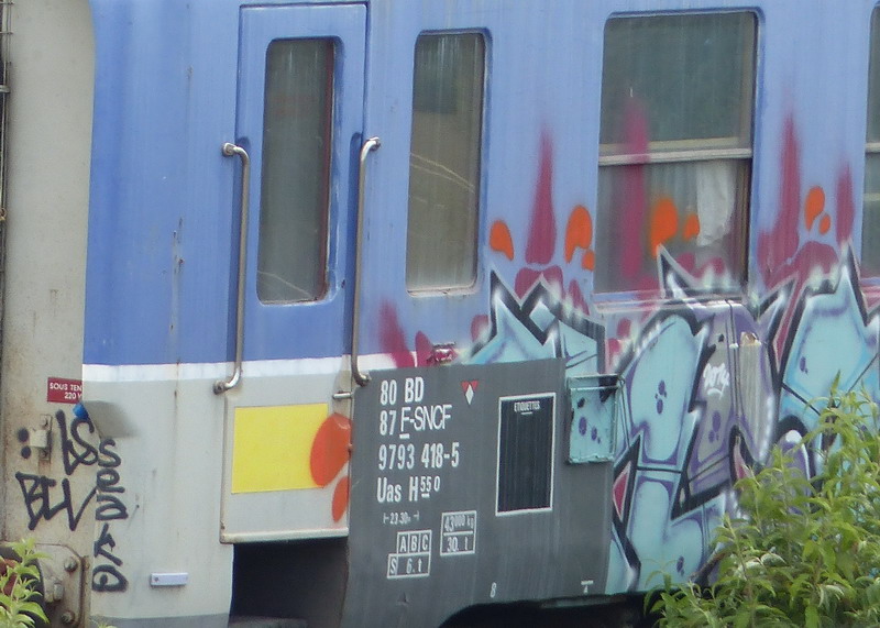 80 87 979 3 418-5 Uas H55 0 F SNCF-BD (2015-05-21 SPDC) (10).jpg