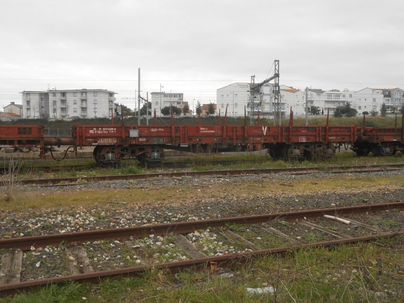 DSCN4391 [1024x768].JPG