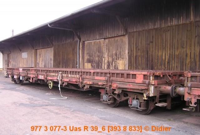 9773077-3.jpg